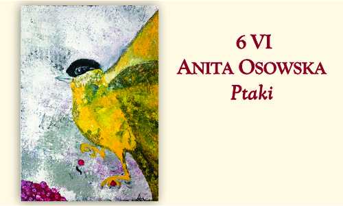 Grafika wprowadzająca -kolorowy ptak z rozpostartymi skrzydłami na szarym tle.